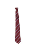 St. John's Bishop Auckland Burgundy And Purple Striped Clip-on Tie