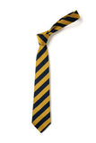 Navy And Gold Clip On Tie