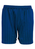 Royal Blue Sport Shorts