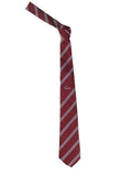 St. John's Bishop Auckland Burgundy And Purple Striped Full Tie
