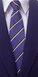 All Saints Purple, Gold And Black Clip On Tie